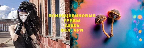 стафф Алзамай