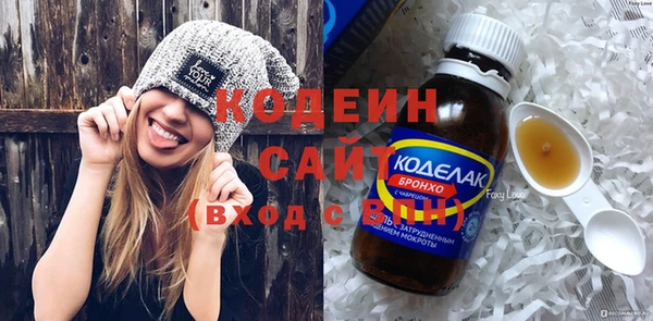 индика Каменка